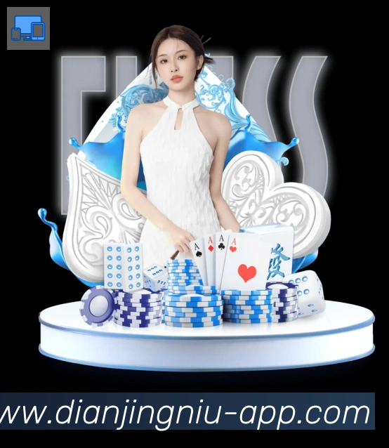 未来规划